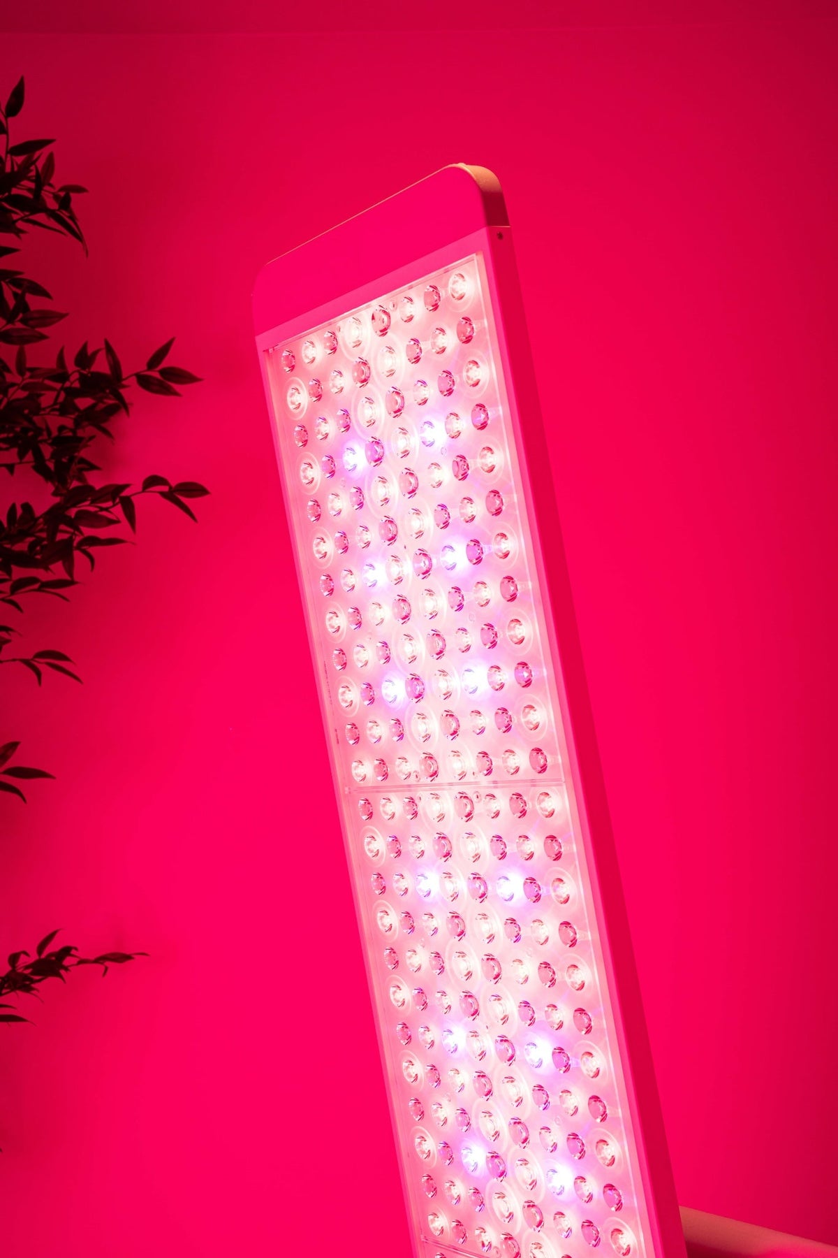 Renew Red Light Panorama Full-Body Therapy Panel
