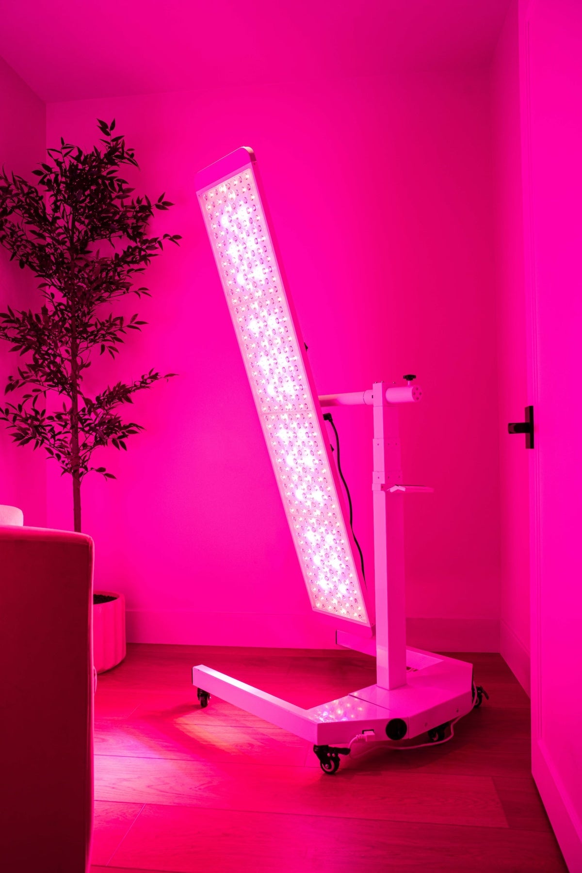 Renew Red Light Panorama Full-Body Therapy Panel